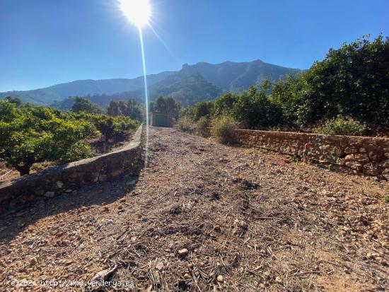  Finca rústica en venta, con casa de aperos y balsa - VALENCIA 