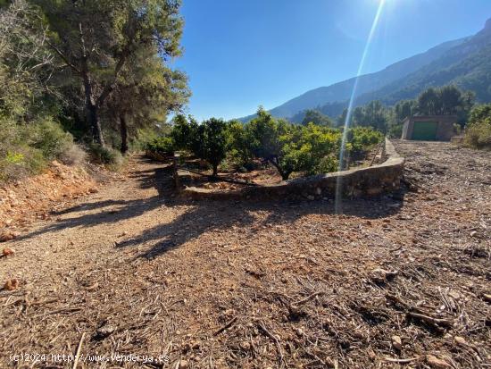 Finca rústica en venta, con casa de aperos y balsa - VALENCIA