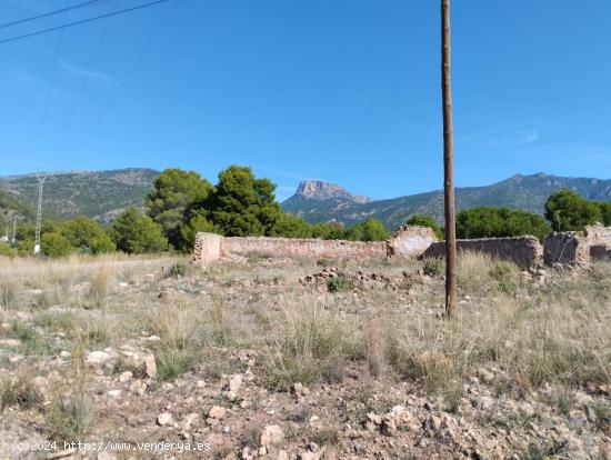 Parcela Rústica con permiso de obra en Sierra Espuña: ¡Tu Oportunidad en la Naturaleza! - MURCIA