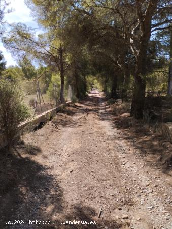 Parcela Rústica con permiso de obra en Sierra Espuña: ¡Tu Oportunidad en la Naturaleza! - MURCIA