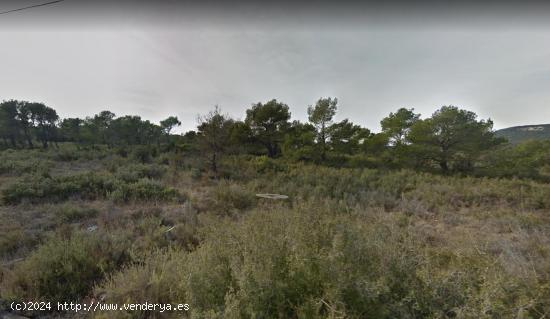 PARCELA EN VENTA - TARRAGONA