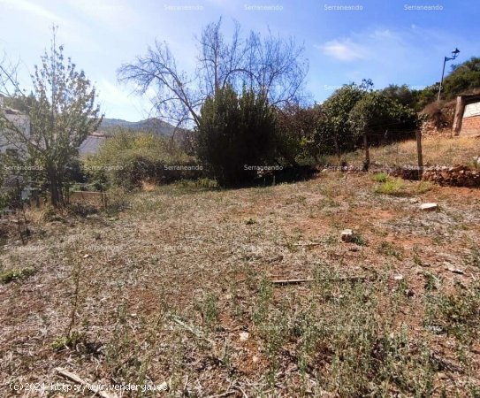 SE VENDE TERRENO URBANO EN VENTA EN GALAROZA (HUELVA) ESPAÑA. - Galaroza