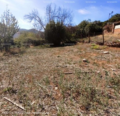 SE VENDE TERRENO URBANO EN VENTA EN GALAROZA (HUELVA) ESPAÑA. - Galaroza