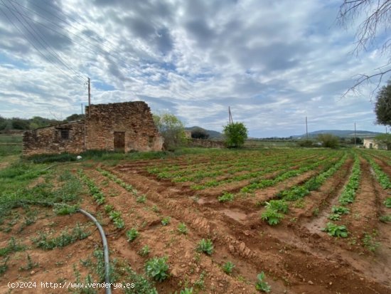  Finca a rehabilitar con agua y luz en entorno idílico 