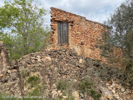 Finca a rehabilitar con agua y luz en entorno idílico