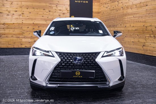 Lexus UX 2.0 250h Business Lexus UX 2.0 250h Business - Madrid