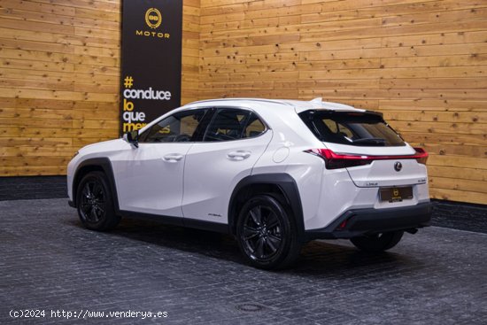 Lexus UX 2.0 250h Business Lexus UX 2.0 250h Business - Madrid