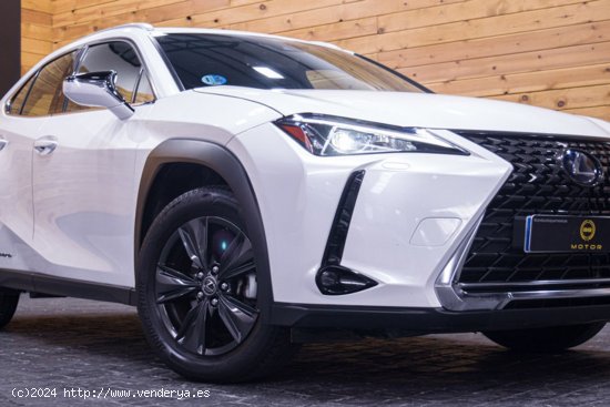 Lexus UX 2.0 250h Business Lexus UX 2.0 250h Business - Madrid