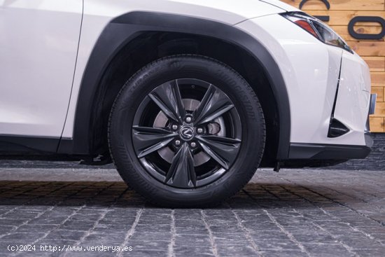 Lexus UX 2.0 250h Business Lexus UX 2.0 250h Business - Madrid