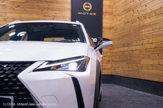 Lexus UX 2.0 250h Business Lexus UX 2.0 250h Business - Madrid