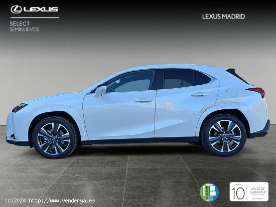 Lexus UX 2.0 250h Luxury 4WD - Madrid