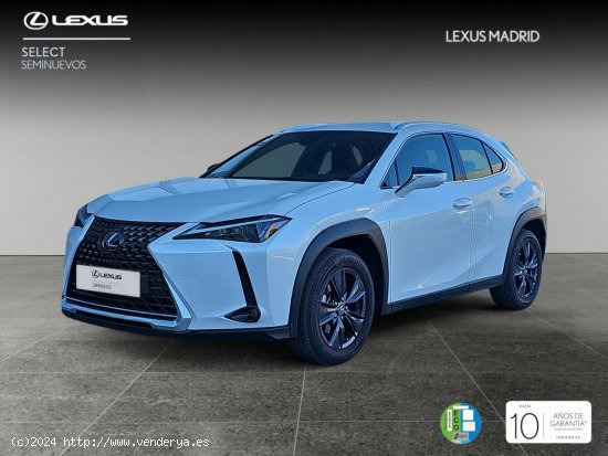  Lexus UX 2.0 250h Business - El Plantío 