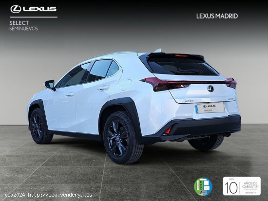 Lexus UX 2.0 250h Business - El Plantío