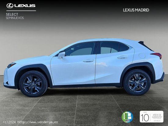 Lexus UX 2.0 250h Business - El Plantío