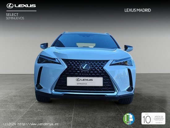 Lexus UX 2.0 250h Business - El Plantío