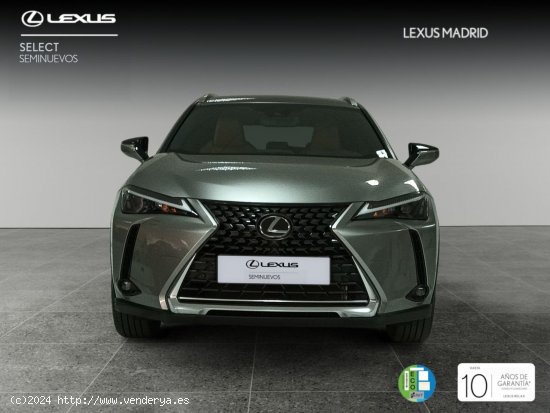 Lexus UX 2.0 250h Premium - El Plantío