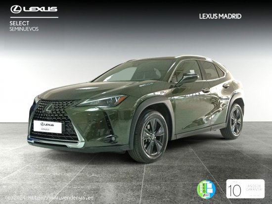 Lexus UX 2.0 250h Premium - El Plantío