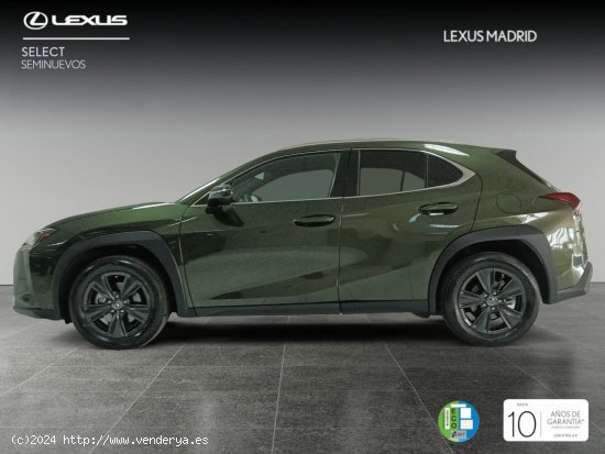 Lexus UX 2.0 250h Premium - El Plantío