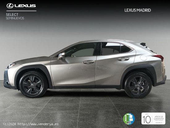 Lexus UX 2.0 250h Premium - El Plantío