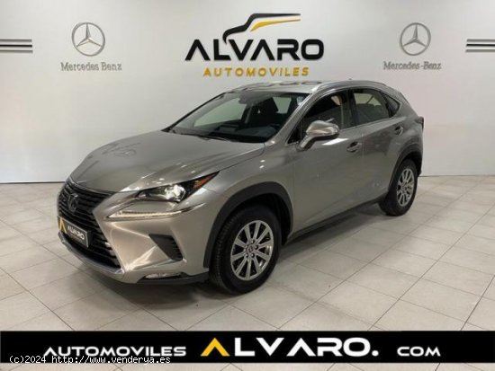  LEXUS NX en venta en Osuna (Sevilla) - Osuna 