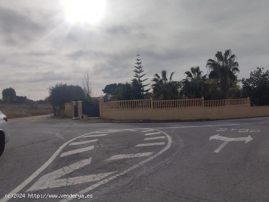 PARCELA URBANA EN ESQUINA CON CAMINO ASFALTADO - ALICANTE