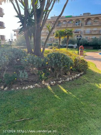 Planta baja de 2 dormitorios con jardín y piscina. - TARRAGONA