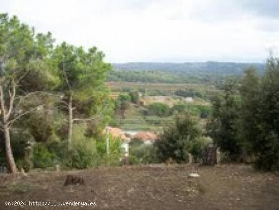  TERRENO EN VALLBONICA 539 MTRO2 A 45' DE BARCELONA - BARCELONA 