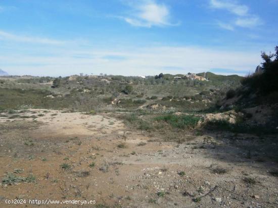 TERRENO EN CASTELLBIBAL EN ZONA CAN NICOLAU (ENTRE CASTELLBISBAL Y MARTORELL) - BARCELONA