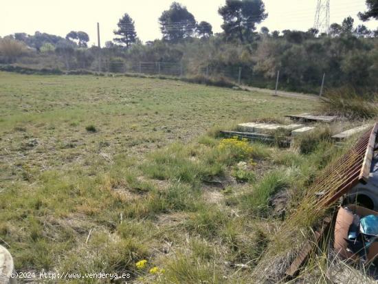 TERRENO EN CASTELLBIBAL EN ZONA CAN NICOLAU (ENTRE CASTELLBISBAL Y MARTORELL) - BARCELONA