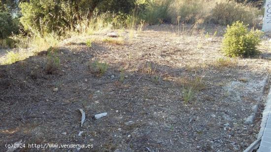 PARCELA EN COLLBATO CON PRECIOSAS VISTAS A MONTSERRAT A 30' DE BARCELONA - BARCELONA