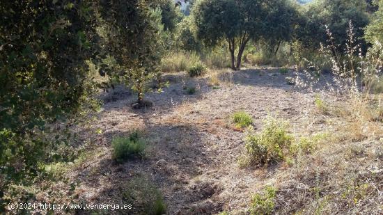 PARCELA EN COLLBATO CON PRECIOSAS VISTAS A MONTSERRAT A 30' DE BARCELONA - BARCELONA