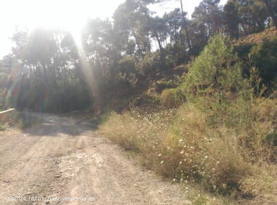 Espectacular terreno que da a dos calles, en Corbera de Llobregat, cerca Hotel Can Fisa. - BARCELONA