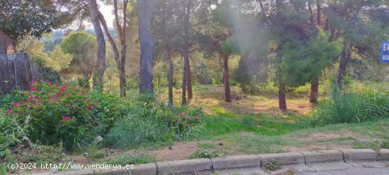 TERRENO URBANIZABLE EN ESPARREGUERA (MAS D'EN GALL) - BARCELONA