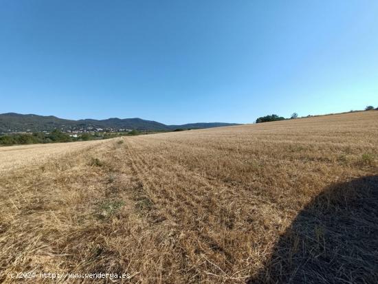 Terreno agrario y de cultivo en Gélida - BARCELONA