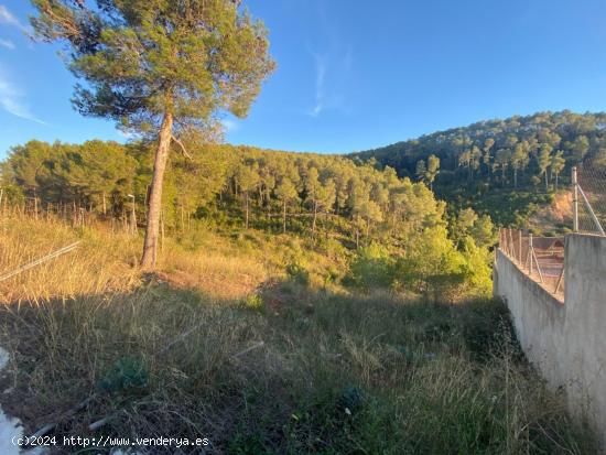  Fantastico terreno en Vallirana - En el sector el pinar, parte alta. - BARCELONA 