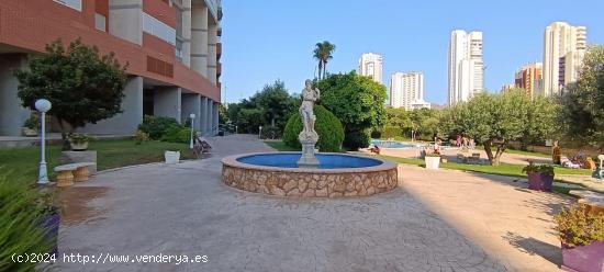 PISO DE TRES DORMITORIOS Y DOS BAÑOS CON GARAGE Y PISCINA.... ZONA JUZGADOS - ALICANTE