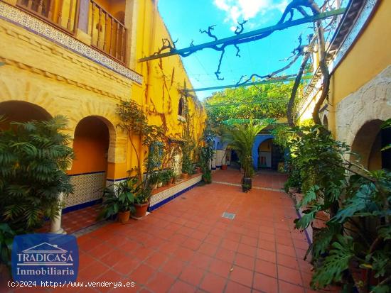  CASA SEÑORIAL DE 585M² EN PLENO CASCO HISTÓRICO DE JEREZ - CADIZ 