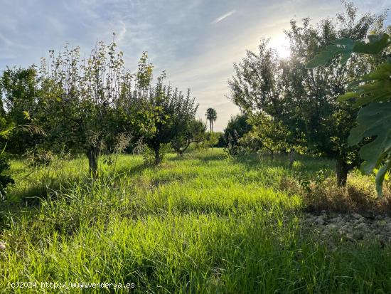 Terreno urbanizable en la Era Alta - MURCIA