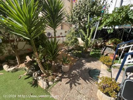 BONITA PLANTA BAJA EN SEGUR DE CALAFELL - TARRAGONA