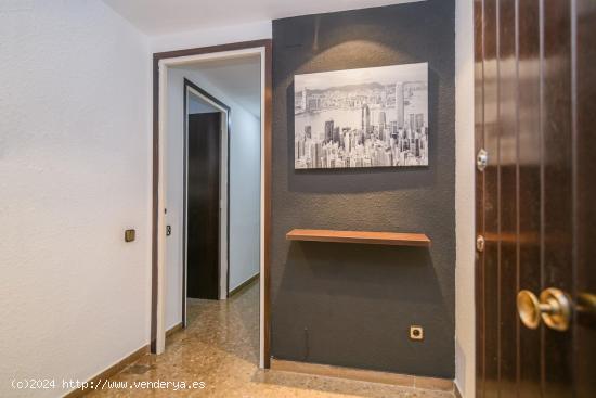 PIS 4 HABITACIONS ZONA PASSEIG - BARCELONA