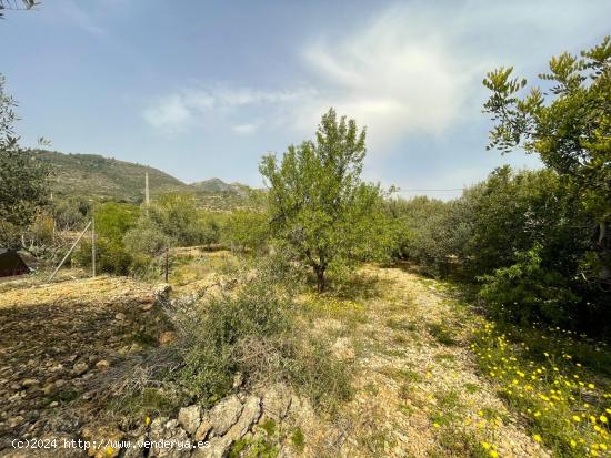 FINCA RÚSTICA LA RÀPITA - TARRAGONA