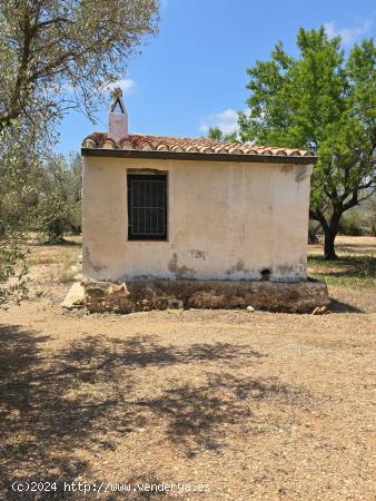 FINCA RÚSTICA MAS DE BARBERANS - TARRAGONA