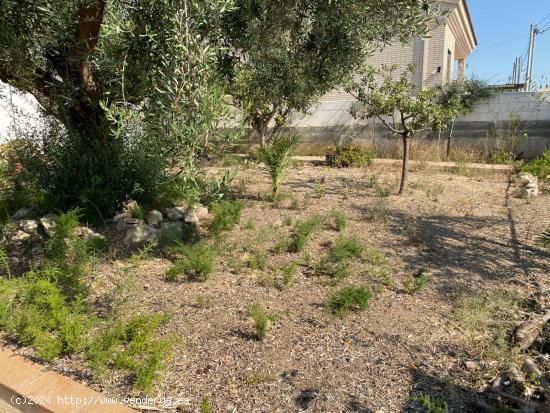  CASA DE 1 PLANTA EN BANYERES DEL PENEDES . - TARRAGONA 