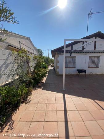 CASA DE 1 PLANTA EN BANYERES DEL PENEDES . - TARRAGONA