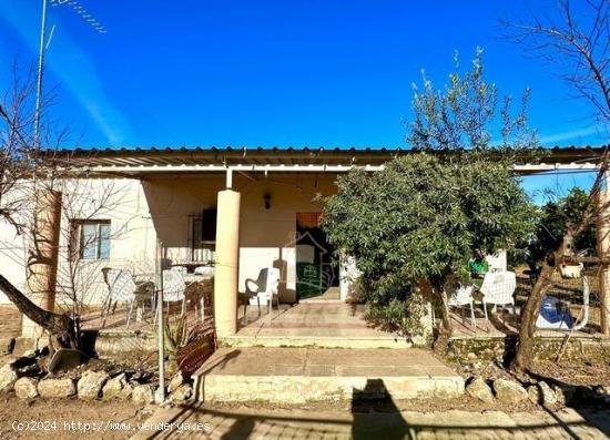 ZONA ROTONDAS DE LA CTRA. DEL AEROPUERTO - Terreno de 4700m² con CASA *AGUA POTABLE Y PUNTO DE LUZ*