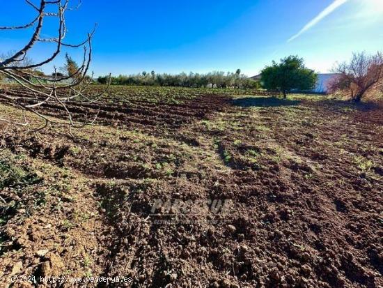 ZONA ROTONDAS DE LA CTRA. DEL AEROPUERTO - Terreno de 4700m² con CASA *AGUA POTABLE Y PUNTO DE LUZ*