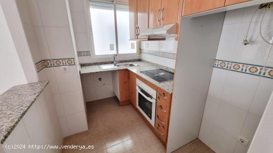 Se Vende en Torrevieja - ALICANTE