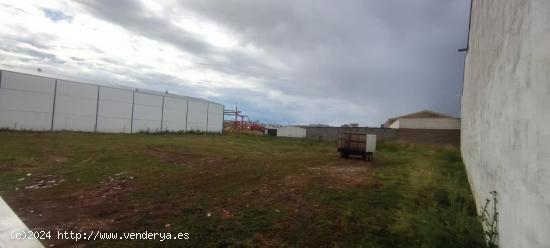  Terreno urbano en polígono Charca Musia de 1800 m2 - CACERES 