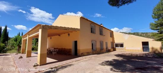 FINCA Y CASA RÚSTICA VIZCABLE NERPIO - ALBACETE