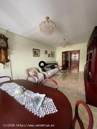 INMOBILIARIA TEJARES II VENDE PISO ZONA AYUNTAMIENTO - ALBACETE